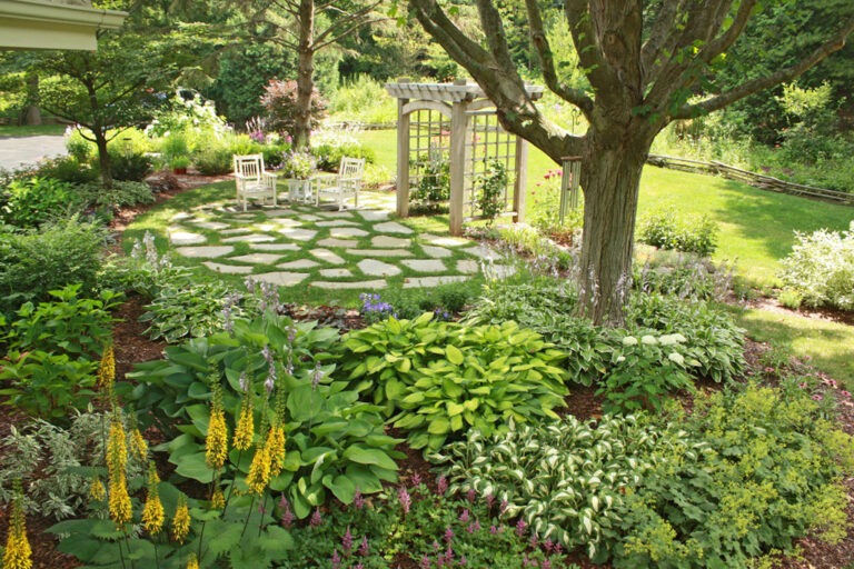 a beautiful shady garden in picture.