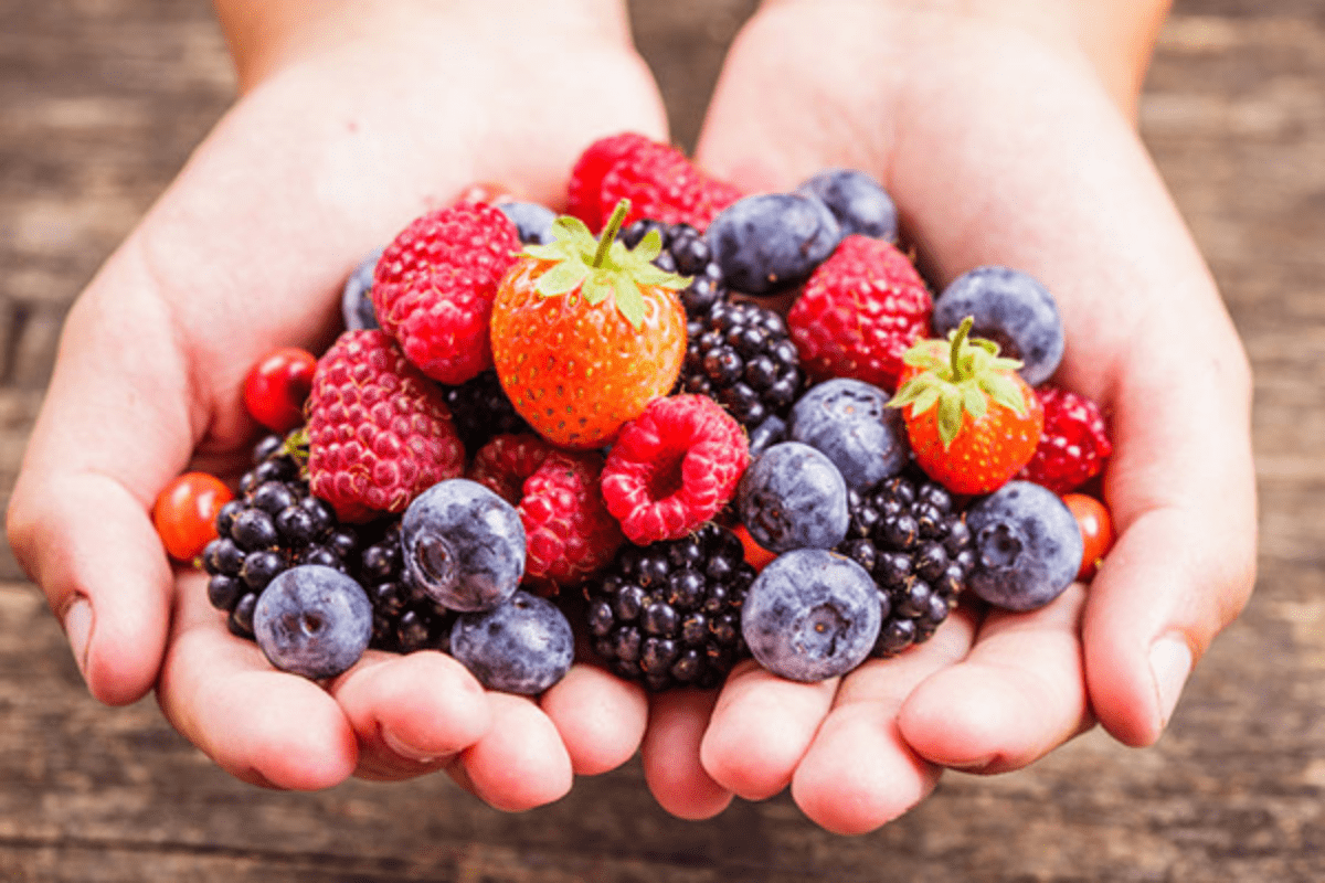 different types of berries in hand