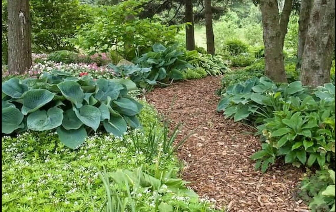 a beautiful shady garden in picture.